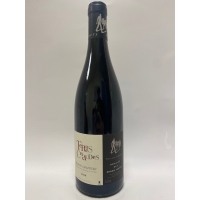 Domaine des Roches Neuves Terres Chaudes (Thierry Germain) 2020