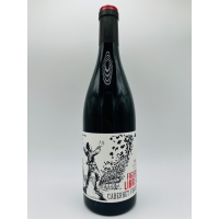 Domaine  Gayda Figure Libre Cabernet Franc 2022