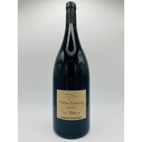 Domaine  Antoine Sanzay La Paterne Saumur Champigny 2023