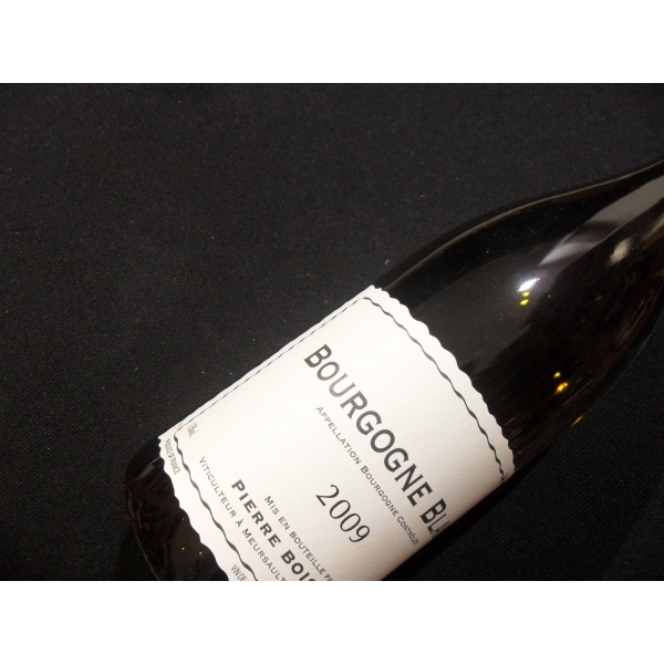 Domaine  Boisson Pierre Bourgogne Blanc 2009