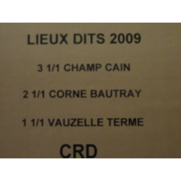 Domaine  Jacquesson Lieux Dits 6 Blles : 2 Dizy/3 Avise/1Ay 2009